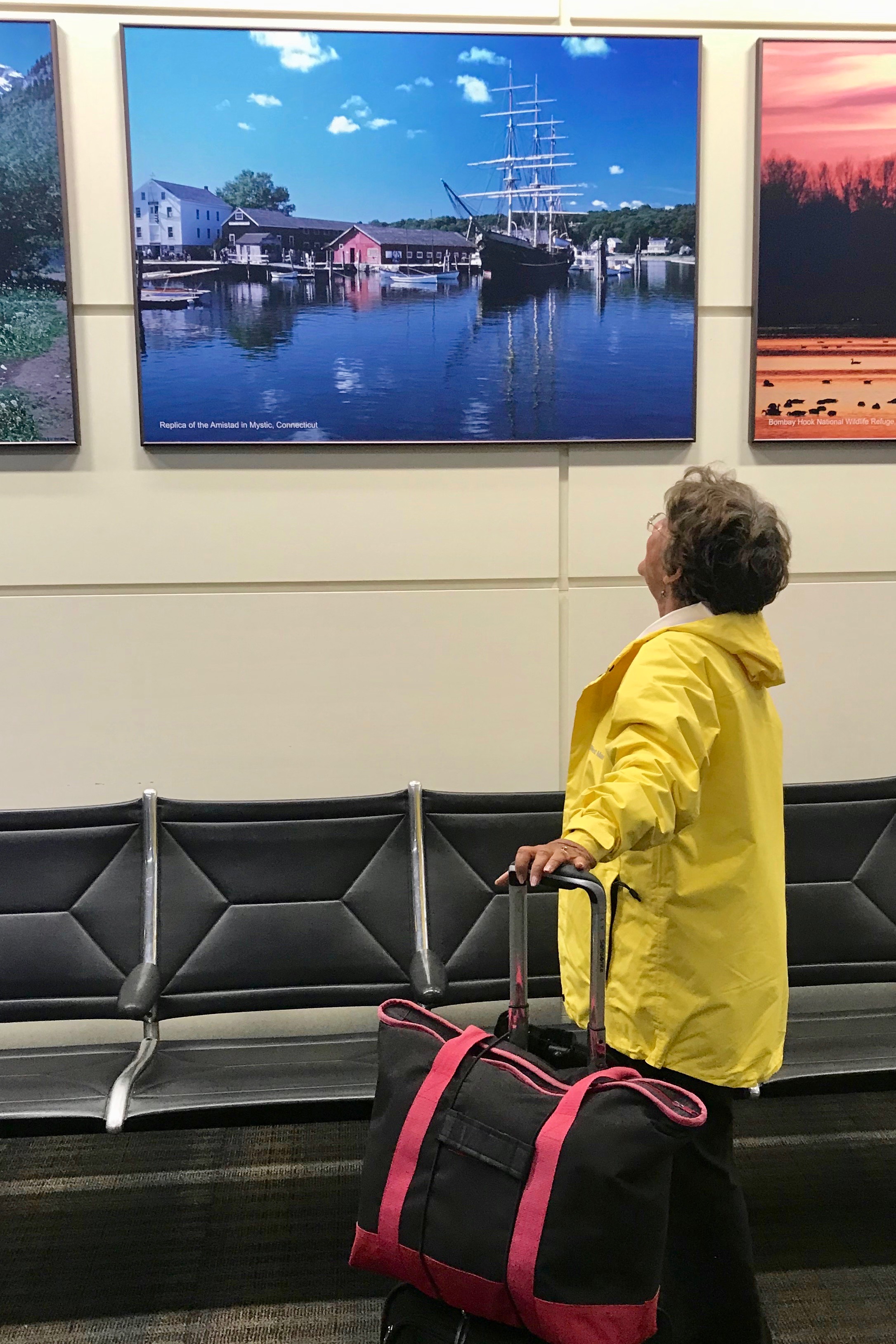 Marijo Franklin admiring a photo of Mystic CT during a stopover at Dulles Airport...